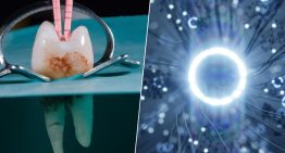Hemos desarrollado un implante dental que parece sacado de 'Blade Runner': crece y es capaz de 'hackear' el cerebro