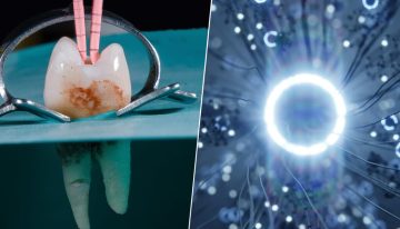 Hemos desarrollado un implante dental que parece sacado de 'Blade Runner': crece y es capaz de 'hackear' el cerebro
