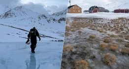 Algo extraño está pasando este año en el archipiélago de Svalbard