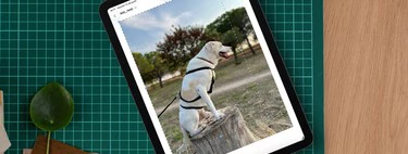Los iPad acaban de recibir una de las mejores apps de Apple. Ya no será una joya oculta en Mac