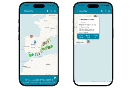 Medusapp 1