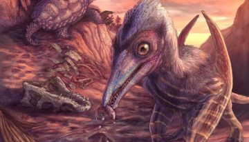 Hallado un pterosaurio en Arizona, el reptil alado más antiguo conocido en Norteamérica