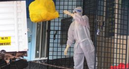 Todo lo que se sabe del Virus Nipah: síntomas, contagio y transmisión con animales