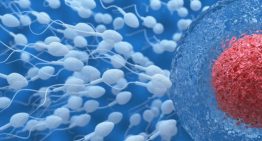 Más de la mitad del semen contiene microplásticos: un estudio halla trazas de residuos en hasta el 70% de los fluidos reproductivos