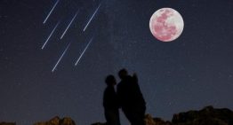 Qué ver en el cielo este verano: eclipses, lluvias de estrellas y lunas llenas