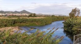 Las aguas residuales revelan un incremento de anfetaminas en Catalunya desde otoño de 2023