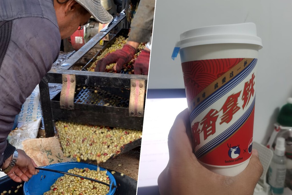 Ya sabemos quién se va a beber todo el café que Brasil no va a exportar a EEUU por los aranceles: China 