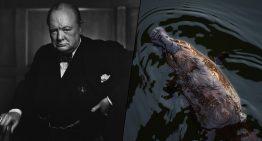 Durante la Segunda Guerra Mundial, Australia envió un ornitorrinco a Churchill. Murió en el viaje y 82 años después sabemos por qué