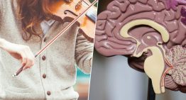 Hay personas a las que no les gusta la música y la ciencia ya sabe el porqué: un 'cortocircuito' en el cerebro