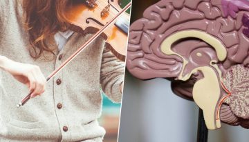 Hay personas a las que no les gusta la música y la ciencia ya sabe el porqué: un 'cortocircuito' en el cerebro