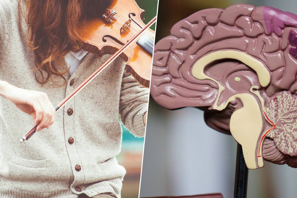 Hay personas a las que no les gusta la música y la ciencia ya sabe el porqué: un 'cortocircuito' en el cerebro 