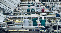La industria alimentaria está viviendo su mayor bajada de precios desde 2014. Hay un sospechoso claro: las marcas blancas