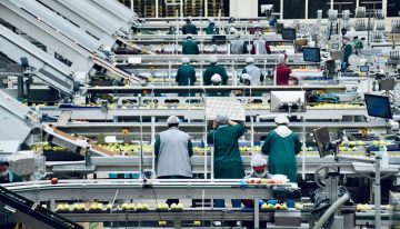 La industria alimentaria está viviendo su mayor bajada de precios desde 2014. Hay un sospechoso claro: las marcas blancas
