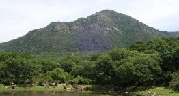 Pese a la sequía y el cambio climático, Andalucía es hoy más verde que en los 90. No es tan positivo como parece