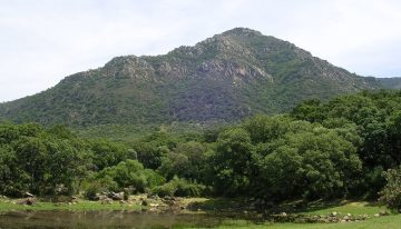 Pese a la sequía y el cambio climático, Andalucía es hoy más verde que en los 90. No es tan positivo como parece
