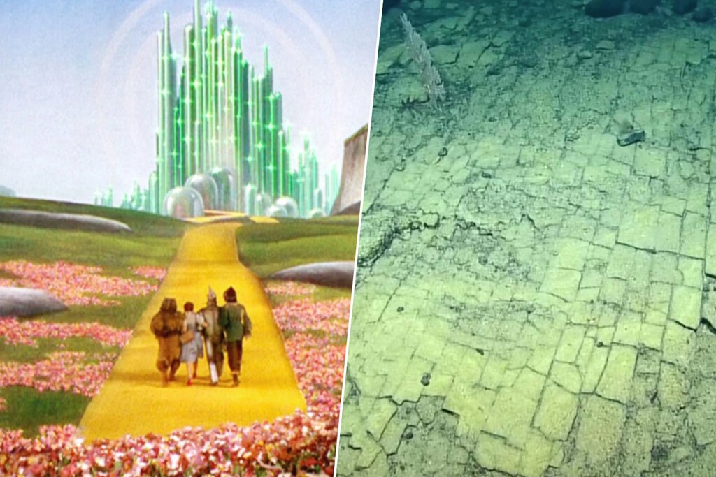 Creíamos que el "camino de baldosas amarillas" era coto privado del cine. Hasta que unos buzos descendieron a las profundidades 