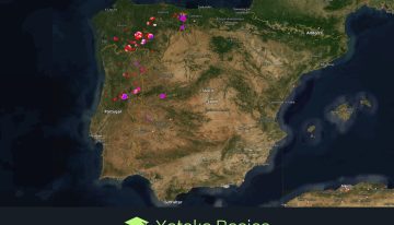 Incendios en España 2025: Cómo verlos en Google Maps, otros mapas y páginas para tener toda la información actualizada.