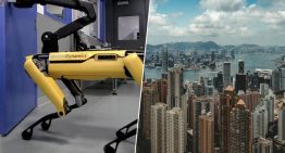 Hong Kong afronta una enorme crisis de salud pública por el virus chikungunya. Su solución: un ejército de perros robot