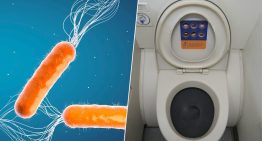 Nadie sabe cómo combatir las superbacterias, pero hay quienes ya son de ayuda: los que hacen caca en los aviones