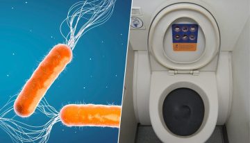 Nadie sabe cómo combatir las superbacterias, pero hay quienes ya son de ayuda: los que hacen caca en los aviones