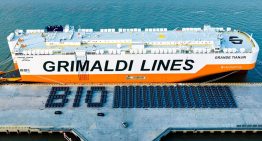 Stellantis espera un barco con los brazos abiertos. Uno cargado de coches chinos para asaltar los SUV de 30.000 euros