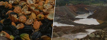 Al "chocoapocalipsis" sólo le faltaba un enemigo más para disparar el precio del cacao: la minería ilegal de oro