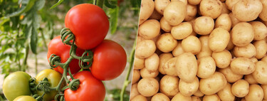 Llevamos años obsesionados con mejorar los tomates y las patatas. Y en el camino hemos descubierto algo fascinante