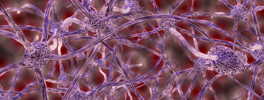 Podríamos estar más cerca de entender y curar el Alzheimer gracias a la teoría unificadora propuesta por estos científicos 