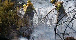 Interior cifra en 14 los incendios forestales activos con alto nivel de riesgo, con las llamas descontroladas entre Zamora y Ourense