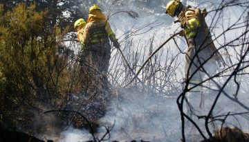 Interior cifra en 14 los incendios forestales activos con alto nivel de riesgo, con las llamas descontroladas entre Zamora y Ourense