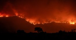 España afronta otra jornada de incendios con especial preocupación en las provincias de Ourense y Zamora
