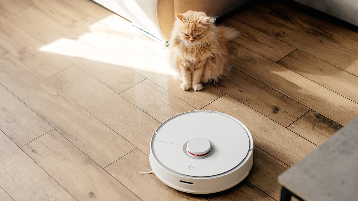 Alerta chollo en un robot aspirador: es de Lefant, elimina los pelos de mascota de manera eficaz y no supera los 90 euros. 