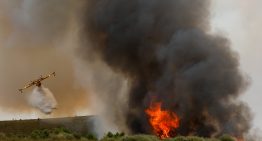 El incendio de Zamora apunta ya a ser uno de los mayores registrados en España