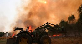 Última hora de los incendios en España, en directo | El incendio de Jarilla, “totalmente desbocado”, obliga a confinar Hervás y a evacuar Gargantilla