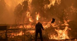 Última hora de los incendios en España, en directo | España sigue en llamas: más de 40 incendios activos arrasan Extremadura, Galicia y Castilla y León