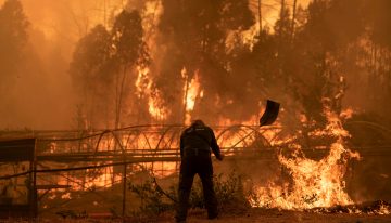 Última hora de los incendios en España, en directo | España sigue en llamas: más de 40 incendios activos arrasan Extremadura, Galicia y Castilla y León