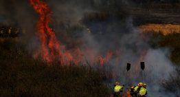 Última hora de los incendios en España, en directo | El Gobierno extremeño pone a toda la comunidad en nivel dos del plan contra incendios y confina a los vecinos de Oliva de Plasencia