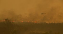 Última hora de los incendios en España, en directo | Extremadura pide ayuda al Gobierno y al ejército ante el avance del fuego en Cáceres