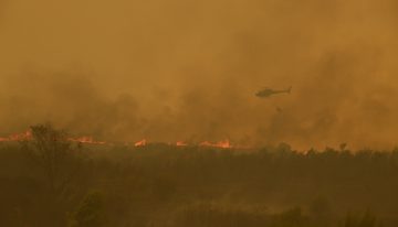 Última hora de los incendios en España, en directo | Extremadura pide ayuda al Gobierno y al ejército ante el avance del fuego en Cáceres