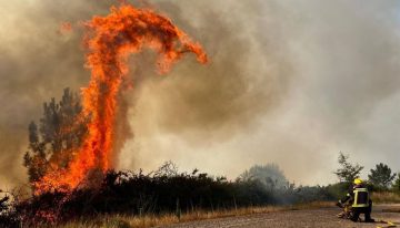 Desde tos hasta infecciones respiratorias: los incendios ponen riesgo la salud de las personas