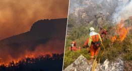 Ante la gran oleada de incendios en España, la ciencia ya tiene a un culpable de su propagación: el cambio climático