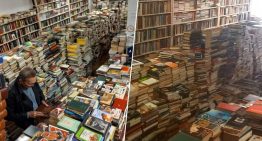 Más de 200.000 libros por 11 euros al año. Es 'El Club de los Libros Libres' de Valencia, un paraíso para devotos del papel impreso