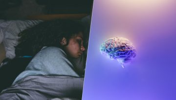 Nuestro cerebro también «saca la basura». Y es uno de los motivos por los que el sueño es tan importante