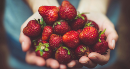 El mayor estudio sobre alimentación sostenible lo confirma: la proteína vegetal gana la partida