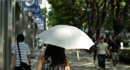 Si la pregunta es por qué hay tantos japoneses con paraguas por la calle, la respuesta es sencilla: por algo más que el sol