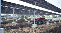 India necesita más cultivos y energía solar que ningún otro país. Así que está instalando los paneles solares en altura