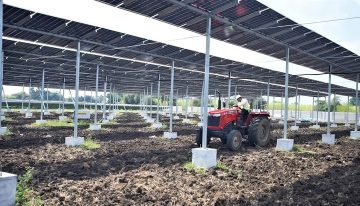 India necesita más cultivos y energía solar que ningún otro país. Así que está instalando los paneles solares en altura