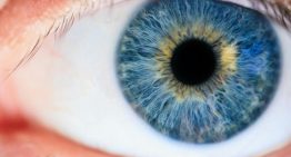 No hay nada que haga azules a los ojos azules. Si queremos entender por qué, tenemos que recurrir a la física