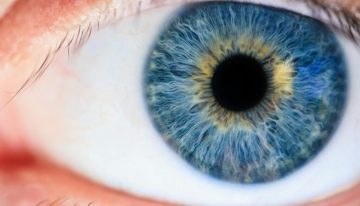 No hay nada que haga azules a los ojos azules. Si queremos entender por qué, tenemos que recurrir a la física