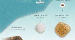 El verdadero tamaño de los microplásticos que pueblan nuestra vida, expuesto en este inquietante gráfico